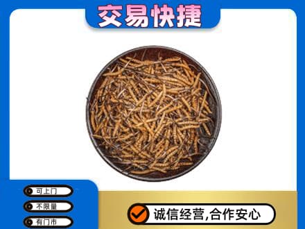 玛沁县回收散虫草